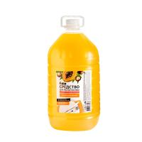 RAIN Средство для мытья посуды антибактериальное Папайя-Макадамия 5л